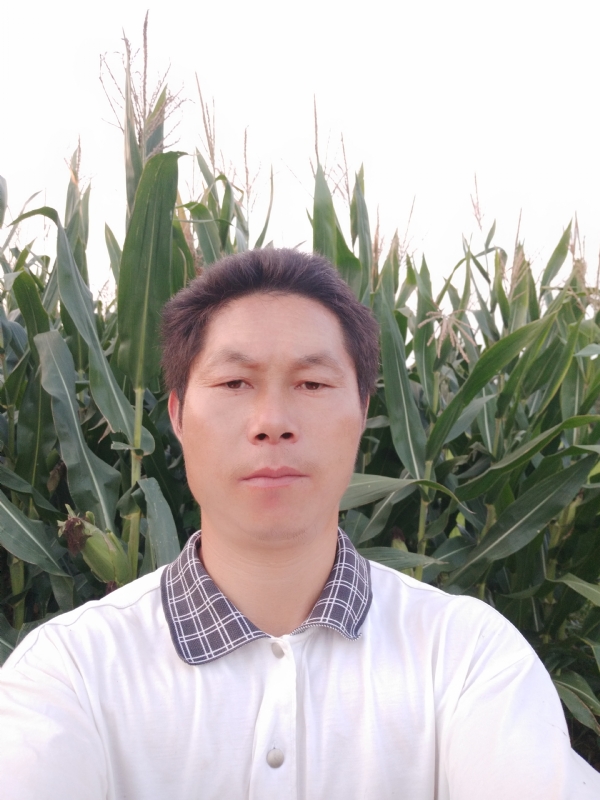 四海游龙的第一张照片--遵义相亲服务中心