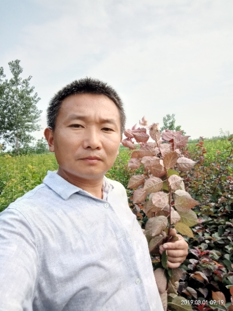 孩子爸的第二张照片--遵义相亲服务中心