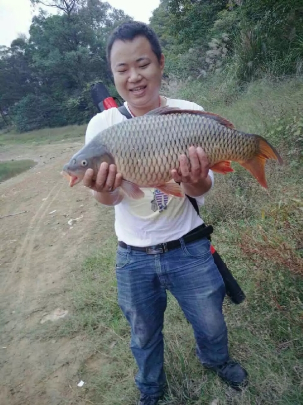 迷路的男人的第一张照片--遵义相亲服务中心