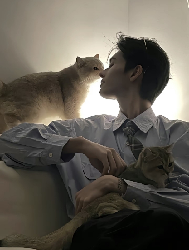 怪猫的第一张照片--遵义相亲服务中心